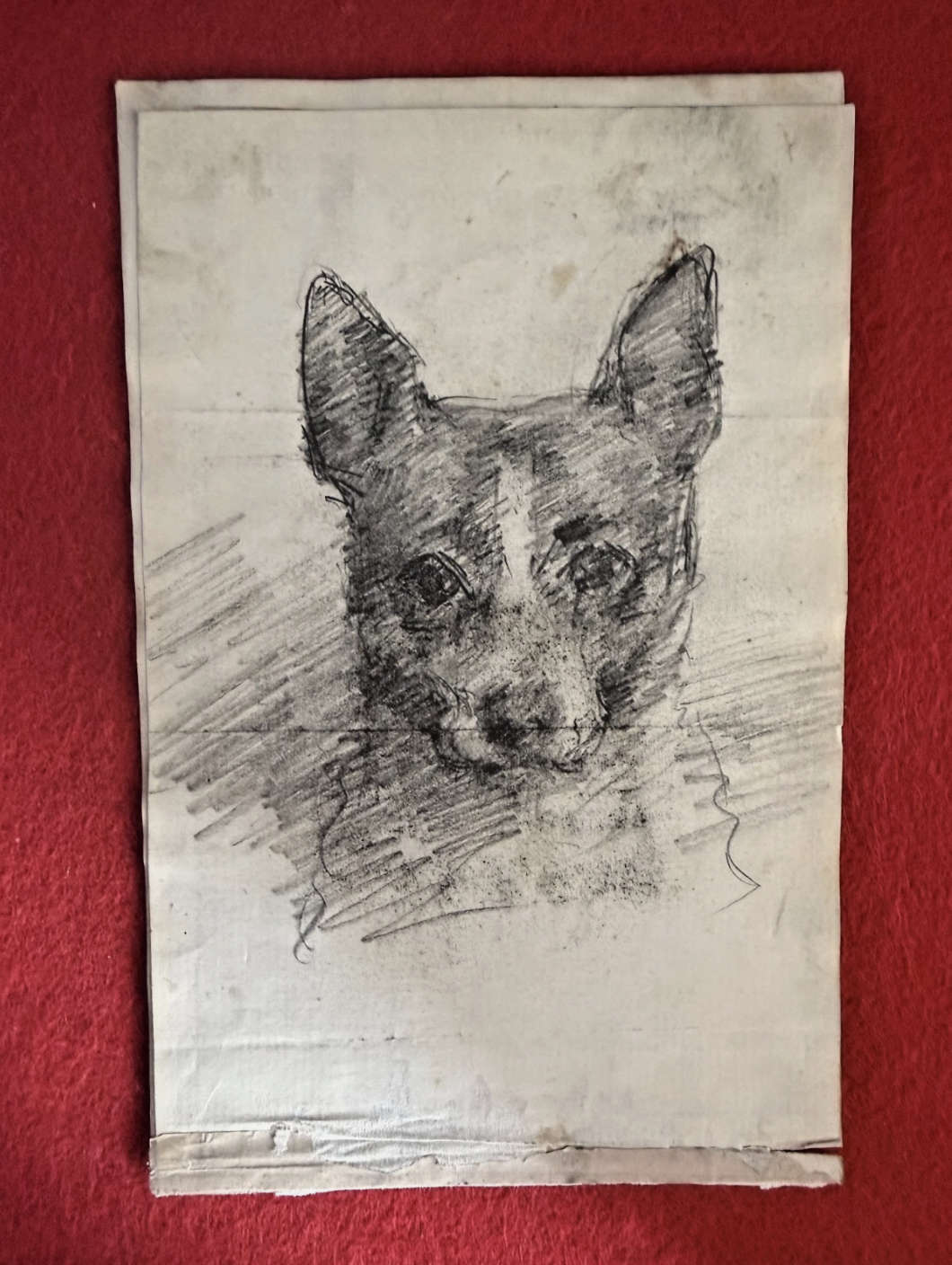 Louise Michel art - pencil illustration of a dog