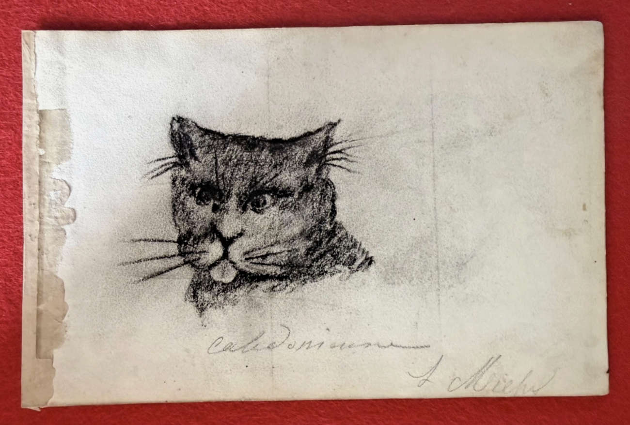 Louise Michel art - pencil illustration of a funny cat